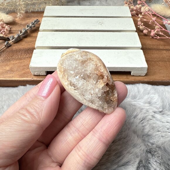 Beautiful Small Fossil Shell - Picture 1 of 6